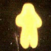 esseri di luce
